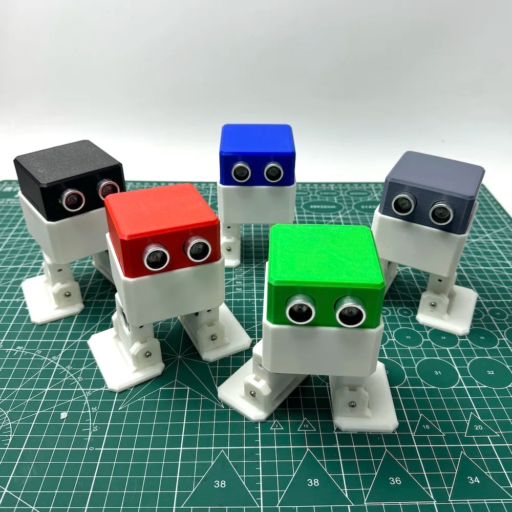 3D-gedrucktes zweibeiniges Lau – Stem Robotics Kit Bewertung und Preis